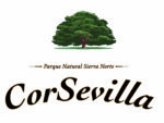 Logo-CorSevilla-árbol